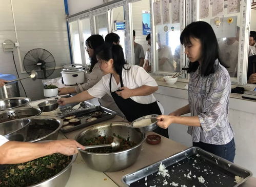 团团带你走基层 工作学习两不误